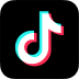 TikTok Icon